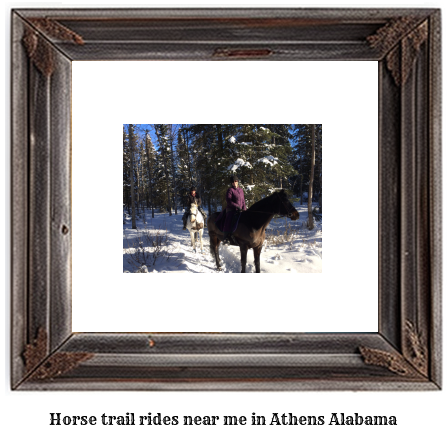 horse trail rides near me in Athens, Alabama